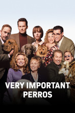 Imagen de Very Important perros - 1