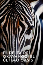 Imagen de El Delta Del Okavango: El ÚLtimo Oasis  - 1