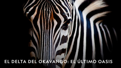 Imagen de El Delta Del Okavango: El ÚLtimo Oasis  - 4