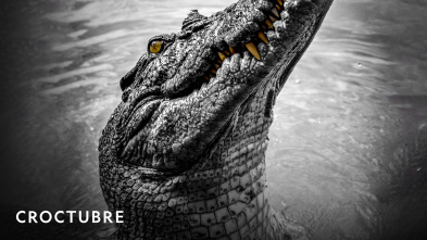 Imagen de Croctubre  - 2
