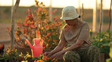 Imagen de Desplazados (T1): Ep.5 Panis Angelicus - 2