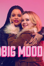 Imagen de Big Mood (T1) - 1