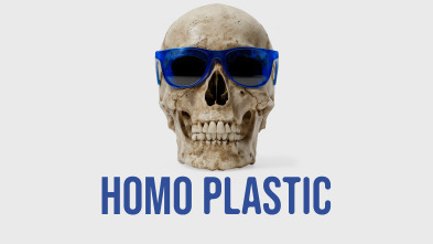 Imagen de HOMO PLASTIC - 2