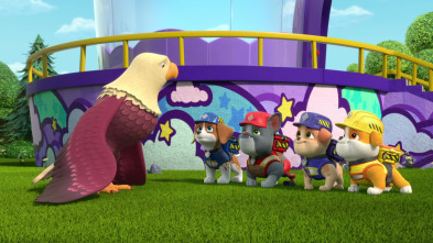 Imagen de Rubble & Crew (T4): Ep.8 El equipo organiza una carrera de miniautos; El equipo crea un centro de entrenamiento para aves - 2