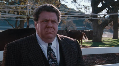 Imagen de Columbo (1988) (T3): Ep.10 Extraños compañeros de cama - 4