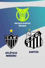 Imagen de Jornada 30: Atlético Mineiro - Santos - 1