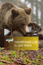 Imagen de A fondo: Coexistiendo con el oso pardo - 1