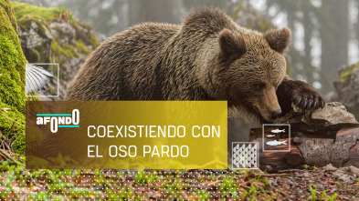Imagen de A fondo: Coexistiendo con el oso pardo - 2