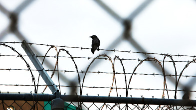 Imagen de Submundo criminal  - 10