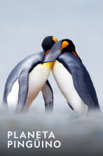 Imagen de Planeta pingüino  - 1