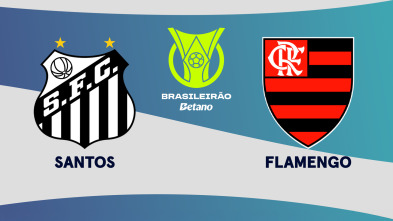 Imagen de Jornada 29: Santos - Flamengo - 2