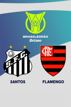 Imagen de Jornada 29: Santos - Flamengo - 1