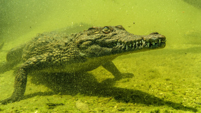 Imagen de Croctubre  - 3