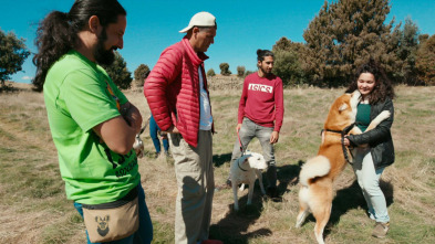 Imagen de Wild Frank ¿Perros...: Ep.1 - 2