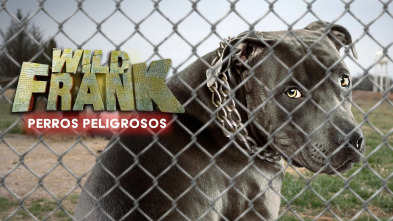 Imagen de Wild Frank ¿Perros Peligrosos?  - 2