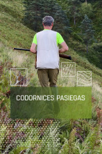 Imagen de Codornices pasiegas - 1