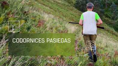 Imagen de Codornices pasiegas - 2