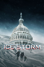 Imagen de Ice Storm - 1