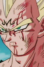 Imagen de Dragon Ball Z (T5) - 3