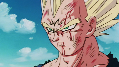Imagen de Dragon Ball Z (T5) - 4