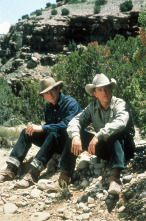 Imagen de Todos los caballos bellos - 8