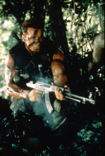 Imagen de Comando - 7