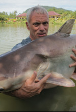 Monstruos de río: Torpedo asesino