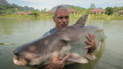 Monstruos de río: Río de sangre