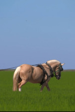 Imagen de Al sur del tiempo: Sevilla - 4