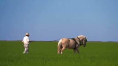 Imagen de Al sur del tiempo: Granada - 5