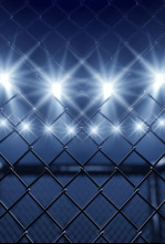 Imagen de Ultimate Fighting Championship - 4
