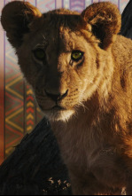 Imagen de El lado salvaje de África: dinastías - 4