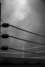 Imagen de ONE Friday Fights... (2025): Donking vs Yodlekpet - 4