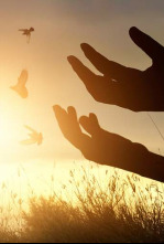 Imagen de El dogma de la perpetua virginidad de María - 4