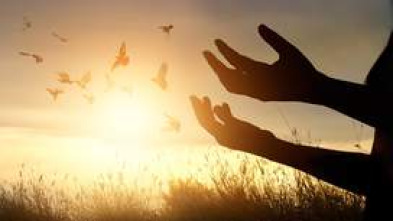 Imagen de La sinfonía inacabada - 5