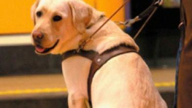 Imagen de Instinto animal: Un día entre fieras - 5