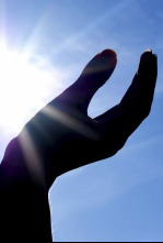 Imagen de El caso de Jesús - 4