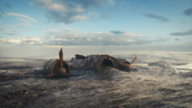 Imagen de Drenar los océanos 3: Ll último barco esclavista de América - 7