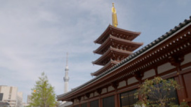 Imagen de Viajeros Cuatro: Tokio - 10