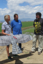 Imagen de Volando voy: El Delta del Ebro - 9