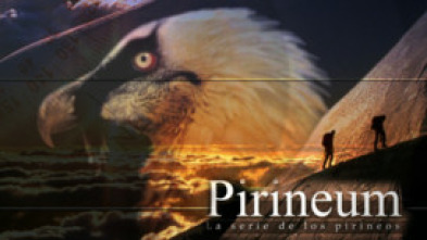 Pirineum 
