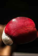 Imagen de Boxeo: velada Paul vs Woodley (2021) - 4