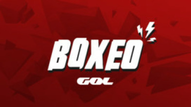 Imagen de Boxeo: velada Trout vs Álvarez (2013) - 5