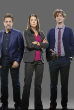 Mentes criminales (T12): Ep.2 Día de enfermedad