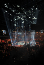 Imagen de Artes marciales mixtas - 9