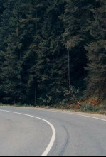 Imagen de UCI Pro Series (2025): Across the Hageland - 4