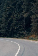 Imagen de UCI World Tour (2026): Flecha Valona M - 6