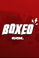 Imagen de Boxeo: velada Andrade vs Akavov (2019) - 4