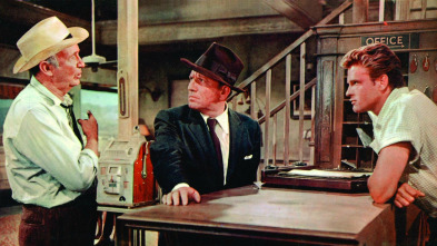 Imagen de Conspiración de silencio - 3