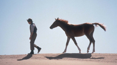 Imagen de Corriendo libre - 3